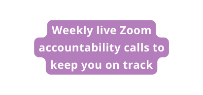 Weekly live Zoom accountability calls to keep you on track