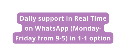 Daily support in Real Time on WhatsApp Monday Friday from 9 5 in 1 1 option